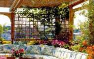 ,樓頂花園,