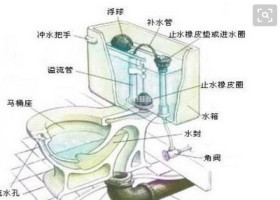 【马桶水箱结构图】马桶抽水原理