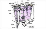 ,馬桶,馬桶結構,