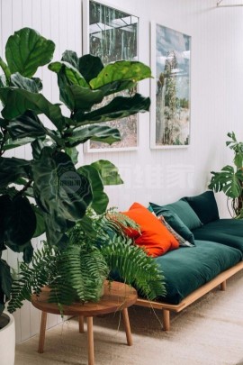 植物点缀的森系客厅沙发装修效果图